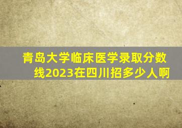 青岛大学临床医学录取分数线2023在四川招多少人啊