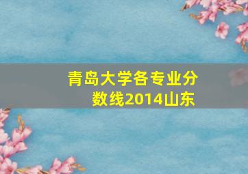 青岛大学各专业分数线2014山东