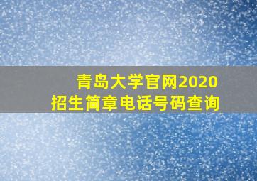 青岛大学官网2020招生简章电话号码查询