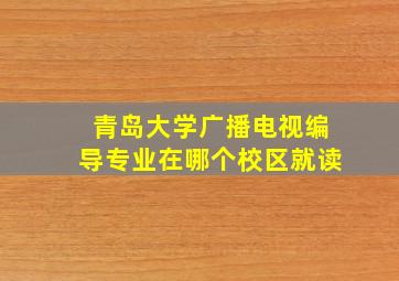 青岛大学广播电视编导专业在哪个校区就读