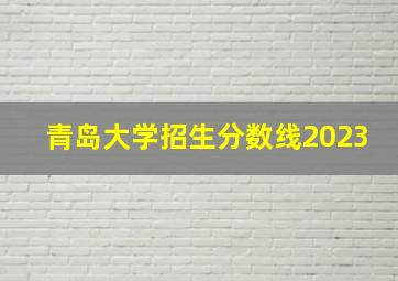 青岛大学招生分数线2023