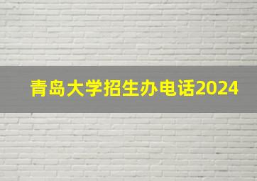 青岛大学招生办电话2024