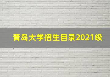 青岛大学招生目录2021级