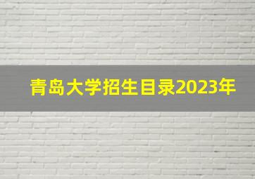 青岛大学招生目录2023年