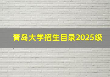 青岛大学招生目录2025级