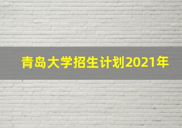 青岛大学招生计划2021年