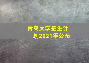 青岛大学招生计划2021年公布