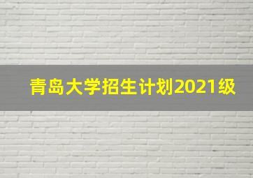 青岛大学招生计划2021级