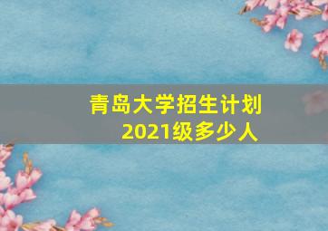 青岛大学招生计划2021级多少人