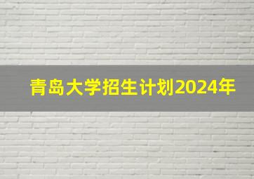 青岛大学招生计划2024年