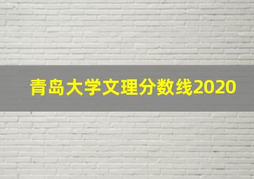 青岛大学文理分数线2020