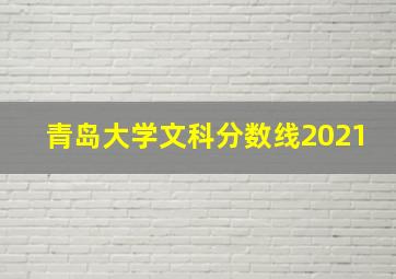 青岛大学文科分数线2021