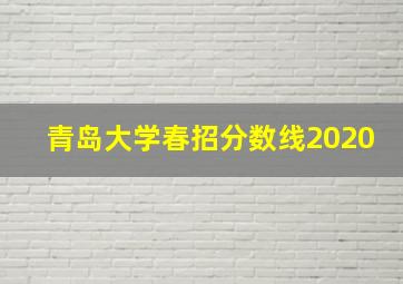 青岛大学春招分数线2020