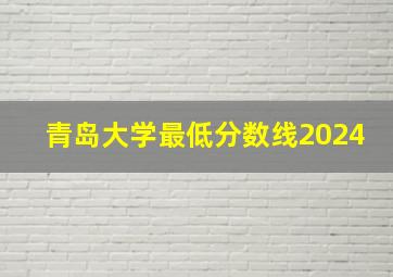 青岛大学最低分数线2024