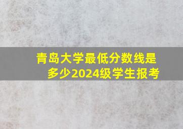 青岛大学最低分数线是多少2024级学生报考