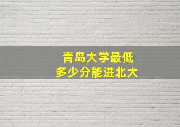 青岛大学最低多少分能进北大