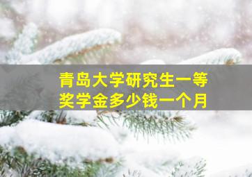 青岛大学研究生一等奖学金多少钱一个月