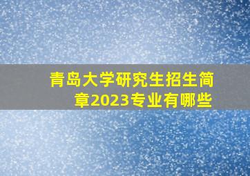 青岛大学研究生招生简章2023专业有哪些