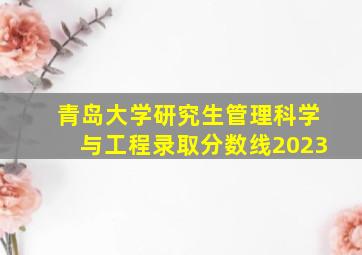 青岛大学研究生管理科学与工程录取分数线2023