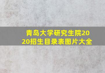 青岛大学研究生院2020招生目录表图片大全