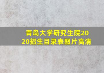 青岛大学研究生院2020招生目录表图片高清