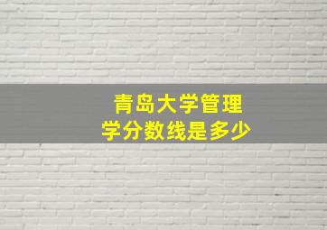 青岛大学管理学分数线是多少