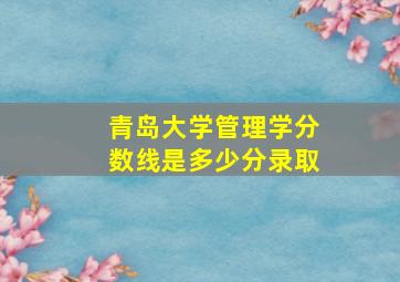 青岛大学管理学分数线是多少分录取