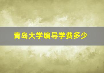 青岛大学编导学费多少