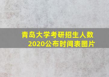 青岛大学考研招生人数2020公布时间表图片