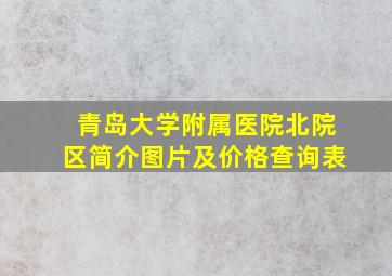 青岛大学附属医院北院区简介图片及价格查询表