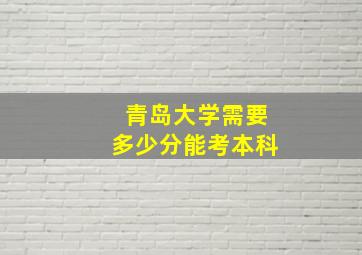 青岛大学需要多少分能考本科