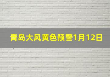 青岛大风黄色预警1月12日