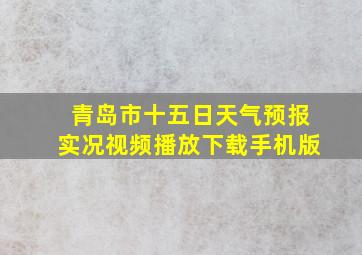 青岛市十五日天气预报实况视频播放下载手机版