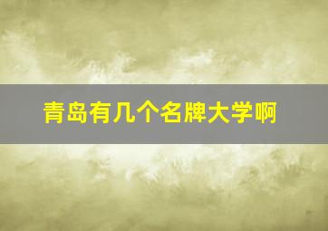 青岛有几个名牌大学啊