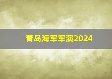 青岛海军军演2024