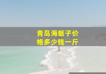 青岛海蛎子价格多少钱一斤