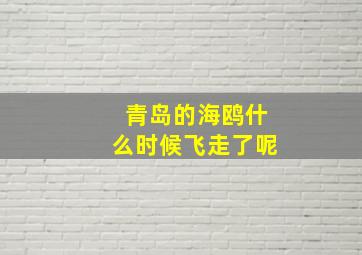 青岛的海鸥什么时候飞走了呢