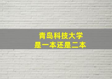 青岛科技大学是一本还是二本