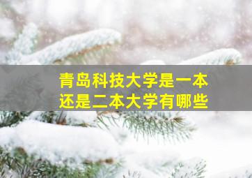 青岛科技大学是一本还是二本大学有哪些