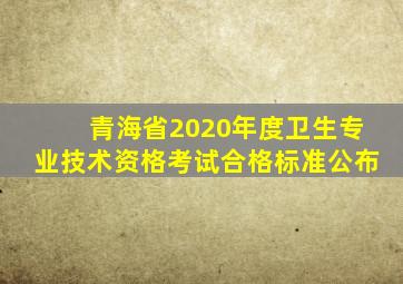 青海省2020年度卫生专业技术资格考试合格标准公布