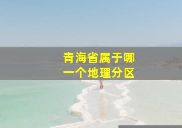 青海省属于哪一个地理分区