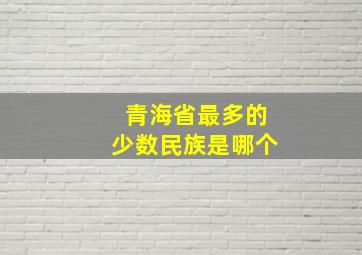 青海省最多的少数民族是哪个