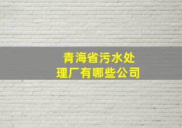 青海省污水处理厂有哪些公司