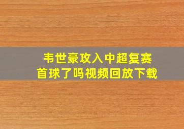 韦世豪攻入中超复赛首球了吗视频回放下载