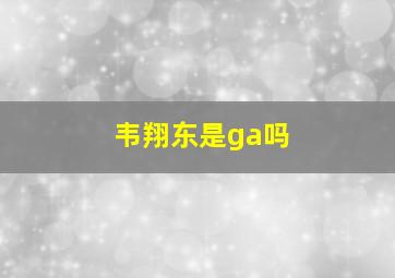 韦翔东是ga吗