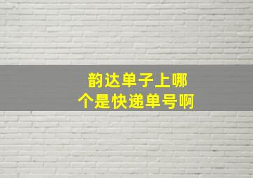 韵达单子上哪个是快递单号啊