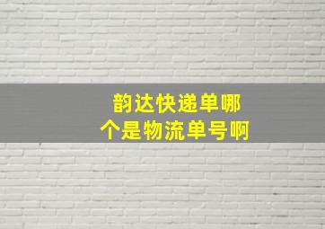 韵达快递单哪个是物流单号啊