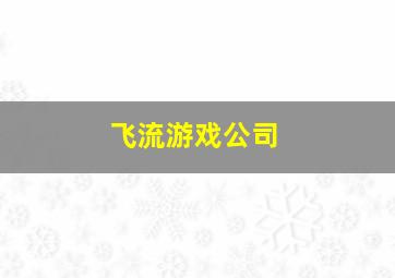 飞流游戏公司