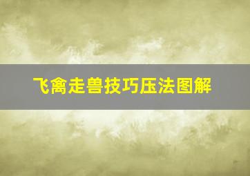 飞禽走兽技巧压法图解