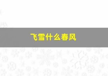 飞雪什么春风